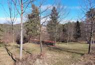 Sonniges Grundstück in Ruhelage