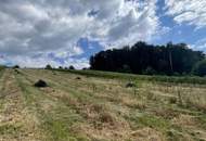 Bad Waltersdorf: Weinberge, Ackerflächen und Wald für experimentierfreudige Winzer oder Landwirte mit Vision
