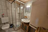 Alpen-Wohnung in Viehhofen – Perfekte Ferienimmobilie zur touristischen Vermietung