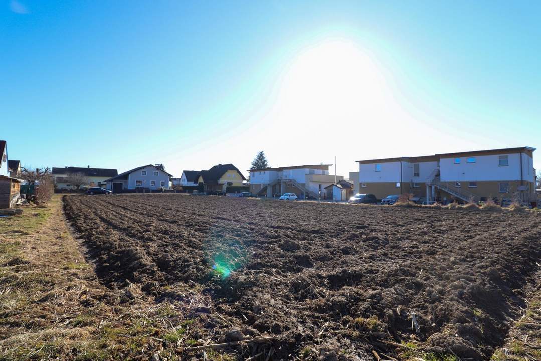 Sonniges Baugrundstück - 1.900m² zwischen Dörfla und Grambach