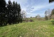 Sanierungsbedürftiger Wohntraum inmitten von Wiesen und Wald!