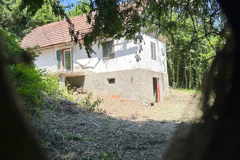 Eine „Dornröschen-Liegenschaft“ zum Wachküssen!, Haus-kauf, 64.800,€, 8322 Südoststeiermark