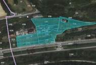 Extravagantes Wohnen in herrlicher Lage am linken Donauufer