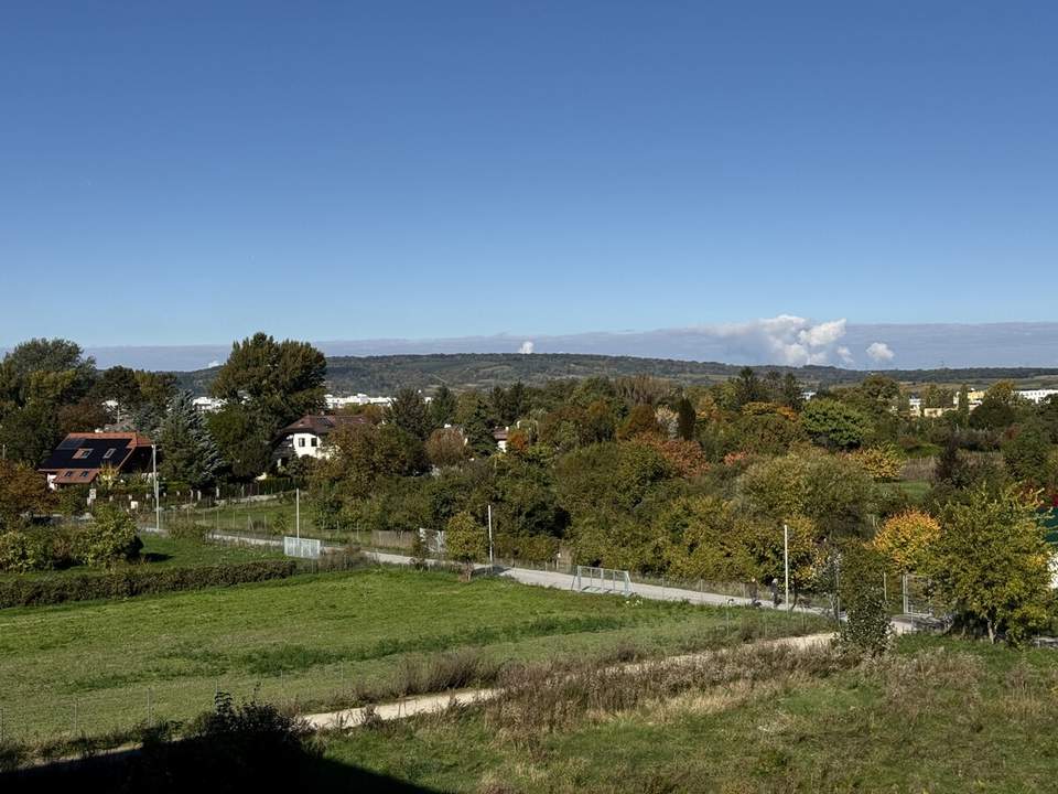 Hirschfeld: große, provisionsfreie und neue 5 Zimmer Wohnung mit Balkon - Preis jetzt sichern