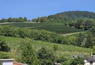 Wunderschönes Penthouse mit Pool und prachtvollem Blick, Nähe Kahlenberg