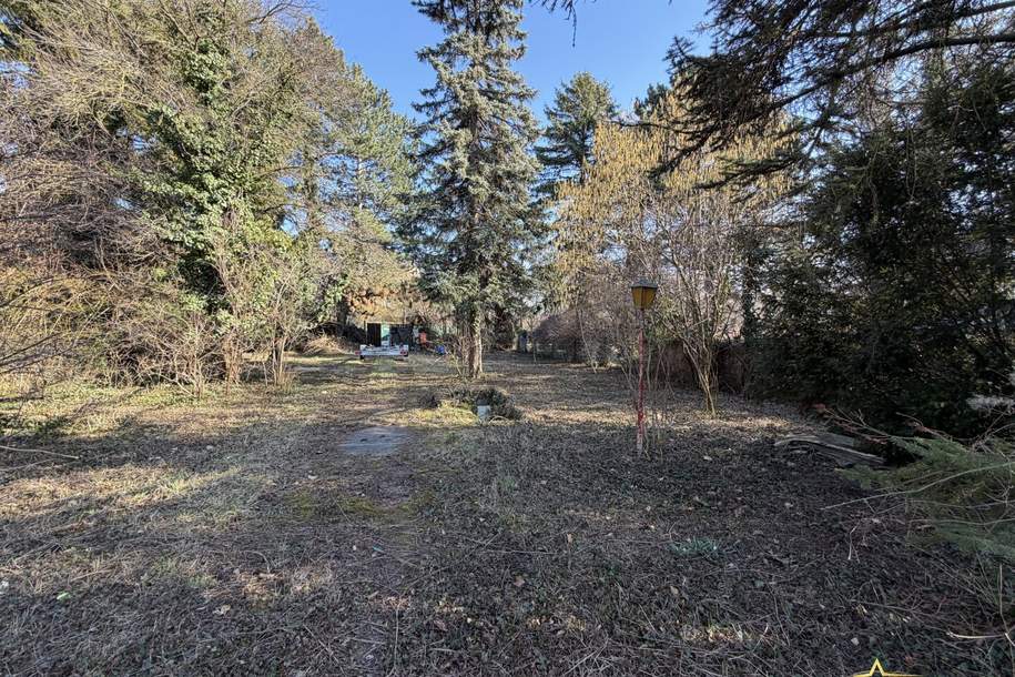 BAUGRUNDSTÜCK IN EINZIGARTIGER LAGE DIREKT AM MÜHLWASSER - NÄHE DONAUSPITAL, Grund und Boden-kauf, 410.000,€, 1220 Wien 22., Donaustadt