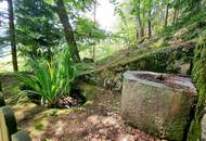 Ruhiges Wohnhaus mit eigenem Wald und Obstgarten!