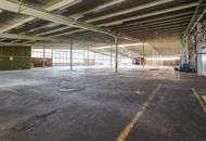 GIGANTISCH gesucht? HIER RICHTIG