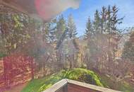 Entwicklungspotenzial: Großzügiges Grundstück mit Bestandsgebäude - Ferienpension