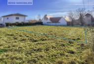 705 m² Baugrund | ruhig, flexibel, ohne Bauzwang