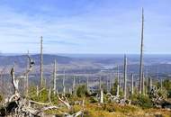 Idyllisch Wohnen mit Weitblick auf 4.367 m² Baugrund