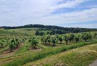 Rarität- Bauland mit Nebengebäude auf einer Bergkuppe in Ruhelage - Obstgarten- Freilandgrundzukauf möglich