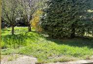 Helle Dchgeschoss-Wohnung in Neulengbach mit Garten