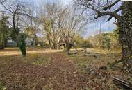 Großzügiges Baugrundstück - alles hat Platz, Traumhaus, Garage und Pool !