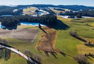 Goldene Felder für Ihre Ernte – Ihre Chance, den Boden zum Leben zu erwecken!