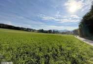 Idyllische Einfamilienhäuser mitten im Grünen