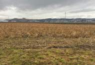 Landwirtschaftlicher Nutzgrund