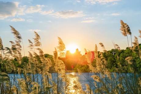 Lobau und Mühlwasser - Grundstück für 6 Reihenhäuser - sofortiger Baubeginn möglich, Grund und Boden-kauf, 1.095.000,€, 1220 Wien 22., Donaustadt
