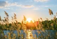 Lobau und Mühlwasser - Grundstück für 6 Reihenhäuser - sofortiger Baubeginn möglich