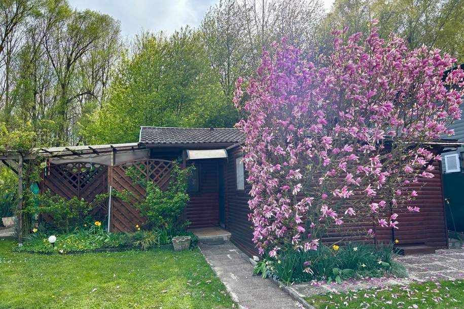 Raus aus der Stadt, hinein ins Wochenendhäuschen!, Haus-kauf, 59.000,€, 2011 Korneuburg