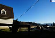 HISTORISCHER HOF IN DER GRÜNEN STEIERMARK: Ein Platz für große Pläne – von Landwirtschaft bis Pferdeparadies!