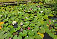 Wo Stille berührt. Wo Luxus beginnt. Wo Zuhause entsteht.