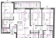 ERSTBEZUG! 4-Zimmer-Wohnung mit Balkon und Parkblick nahe der Donau!