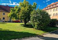 LICHTDURCHFLUTET MIT GARTEN