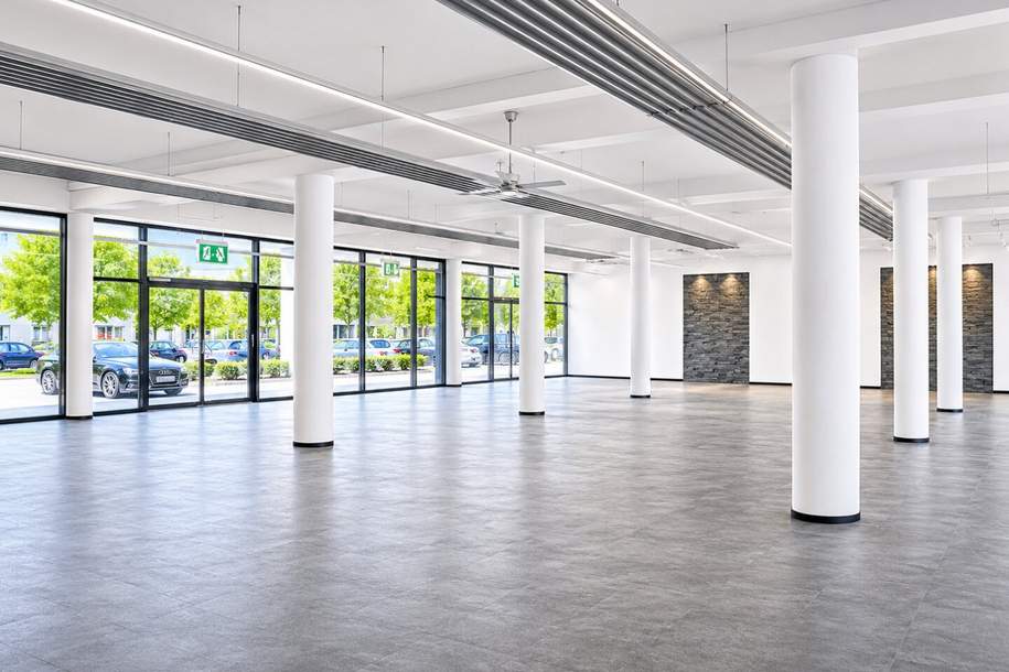 PRAXIS / FITNESS / BÜRO in den Parkvillen von Viktring, Gewerbeobjekt-miete, 5.373,50,€, 9073 Klagenfurt(Stadt)
