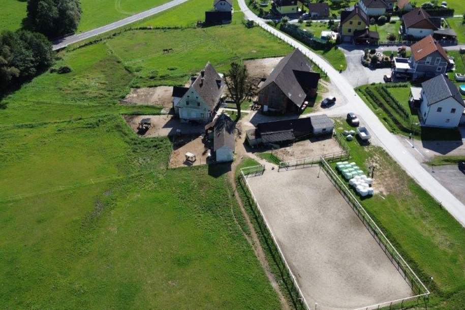NEUER PREIS! GROSSARTIGE PFERDERANCH IN DER GRÜNEN STEIERMARK! Ihr Paradies auf dem Land: Charmanter Reiterhof in traumhafter Lage!, Gewerbeobjekt-kauf, 449.000,€, 8570 Voitsberg