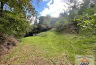 Haus mit wunderschönem großen Grund und Blick über Gars/Kamp!