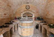 Exklusives Wohnparadies in traumhafter Alleinlage Mit Gästehaus, Halle, Weinkeller &amp; weiteren Highlights – auf ca. 62.000 m² Grundstück, davon 10.000 m² Bauland!