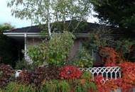 BUNGALOW INMITTEN DER VEGETATION IN RUHELAGE