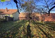 Weinkeller im Bau und Wohngebiet nahe Ortszentrum