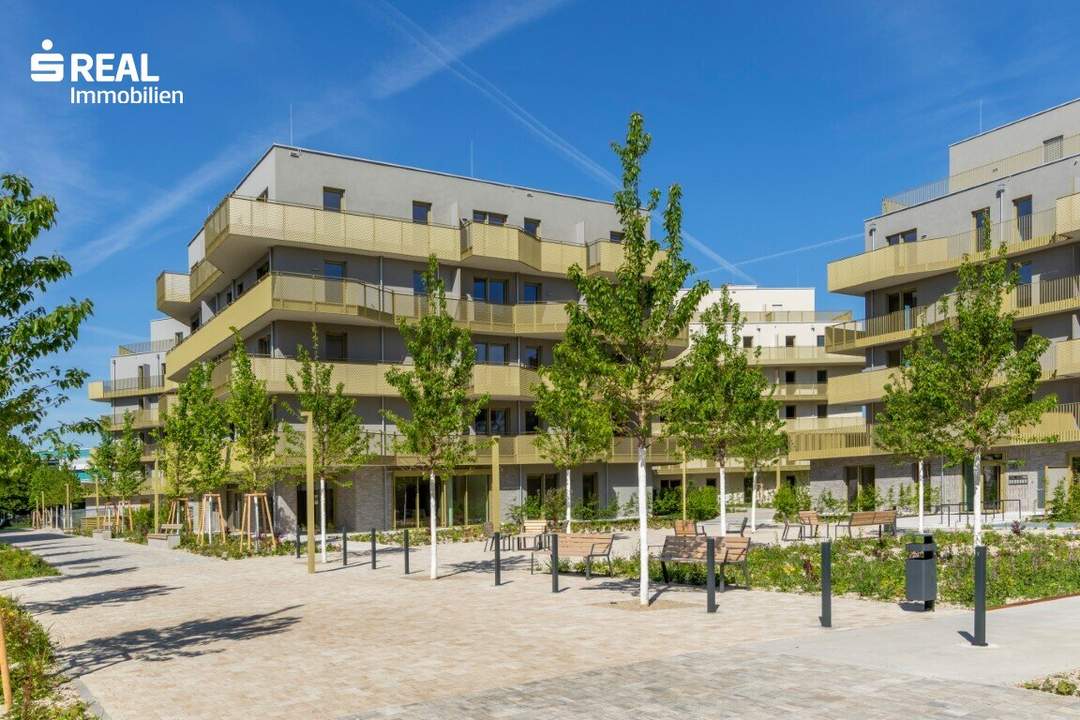 Hirschfeld - Ihr neues Zuhause im Grünen - anfragen, besichtigen, einziehen - 41 bis 96 m²