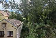 Ein Platz für echte Landliebhaber - und ein Paradies für Selbermacher! Verwirklichen Sie Ihren Wohntraum in idyllischer Umgebung von Sitzendorf