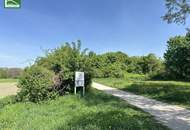 LEO 131 - Sonnige Neubau-Wohnung in Hofruhelage! 4 Bus-Stationen zum Bahnhof Floridsdorf und viele Grünflächen in der Nähe!