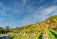 Exklusives Traumhaus zur Miete mit Panoramablick auf die Weinberge