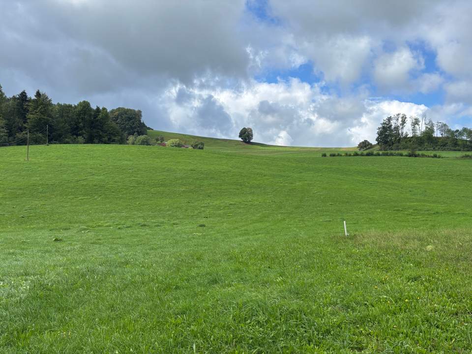 Landwirtschaftliche Nutzfläche und Wiese