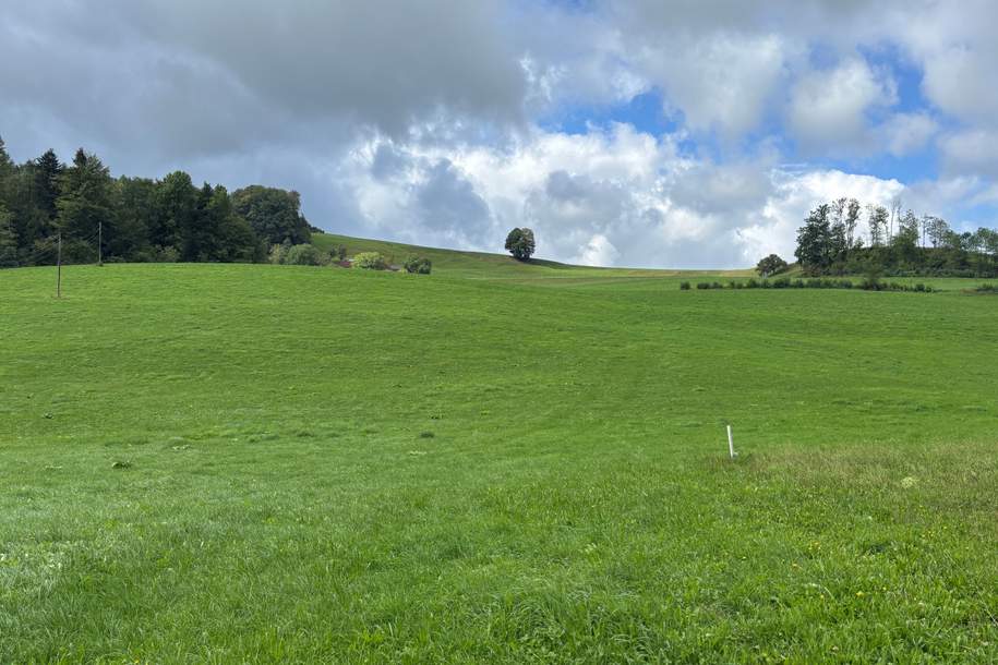 Landwirtschaftliche Nutzfläche und Wiese, Grund und Boden-kauf, 365.000,€, 4542 Kirchdorf an der Krems