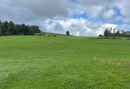 Landwirtschaftliche Nutzfläche und Wiese