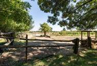 BAULAND in Neusiedl am See – Wohnen im Grünen mit bester Lebensqualität