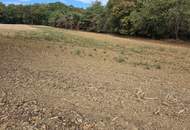 Landwirtschaftliche Grundstücke in Neuberg