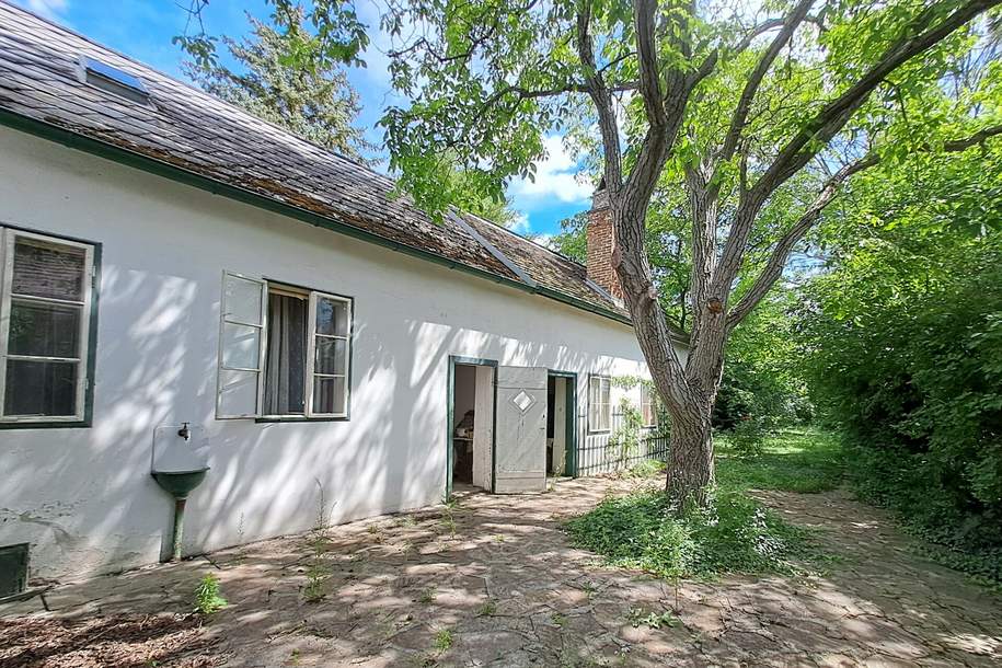 Bauträger oder Liebhaber: ehemaliges Winzerhaus, Haus-kauf, 650.000,€, 2540 Baden