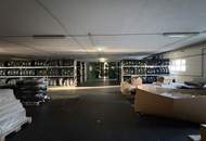 Großzügige Gewerbefläche in absoluter Toplage von Perchtoldsdorf