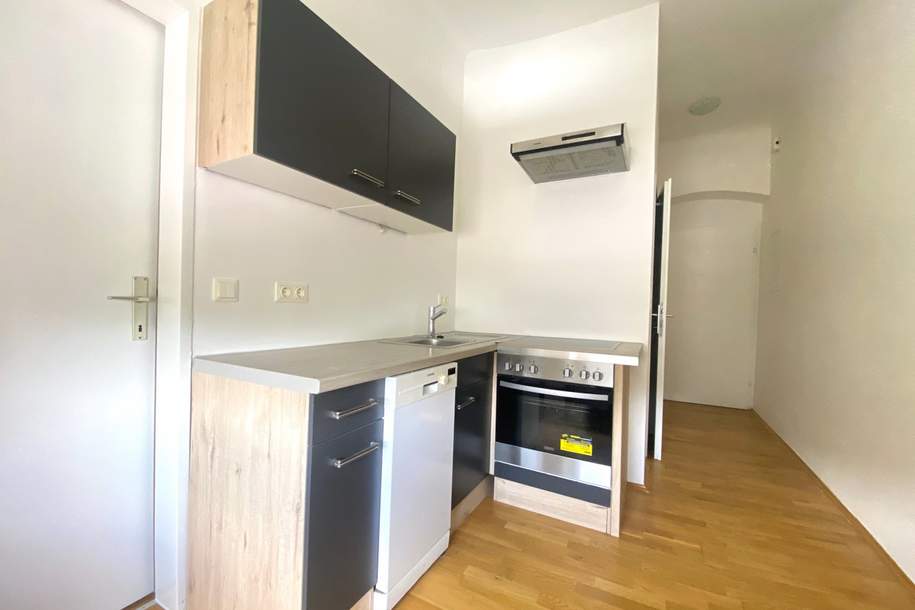 Neu renovierte, ca. 30 m² große Wohnung in der Wienerstraße 232 zu verkaufen!, Wohnung-kauf, 75.000,€, 8020 Graz(Stadt)