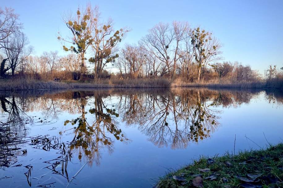 Baufirmen und Bauträger aufgepasst! Baubewilligtes Projekt für 3 Reihenhäuser nahe beim Oberen Mühlwasser!, Grund und Boden-kauf, 720.000,€, 1220 Wien 22., Donaustadt