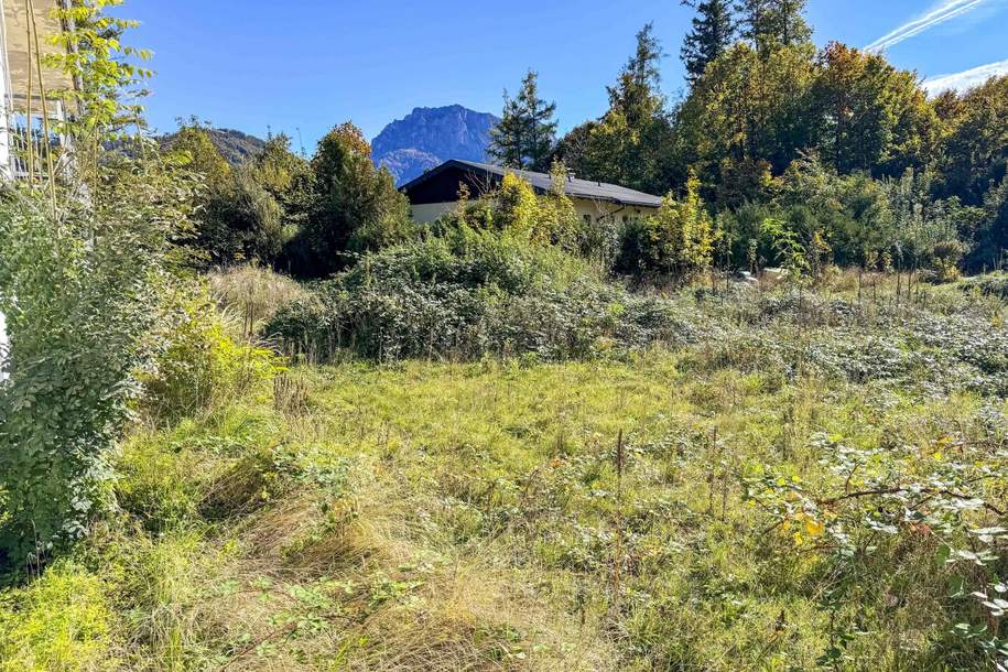 Grundstück in angenehmer Wohnlage - provisionsfrei für den Käufer, Grund und Boden-kauf, 390.000,€, 4810 Gmunden