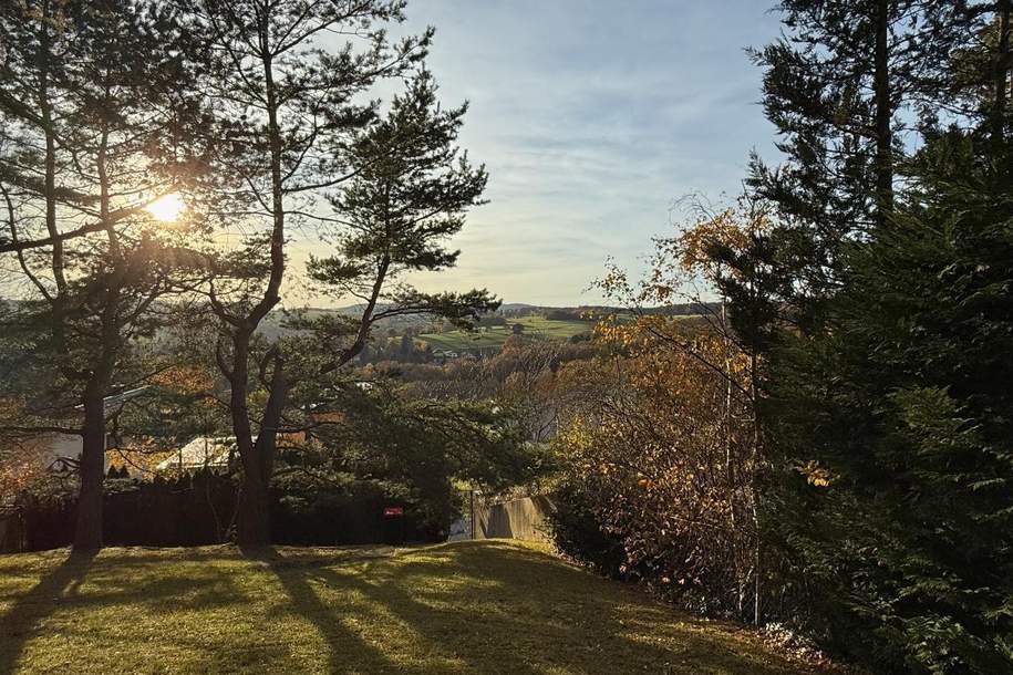 großer Baugrund in Ruhelage, idyllischer Ausblick, Grund und Boden-kauf, 499.000,€, 2384 Mödling