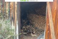 Idyllisches Eigenheim mit platzreichem Garten in Spattenberg - Gemeinde Alberndorf in der Riedmark